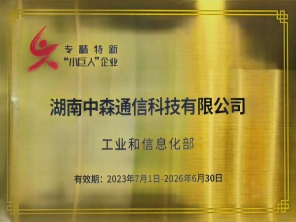 国家专精特新“小巨人”企业