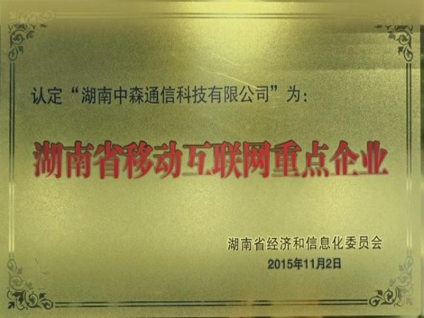 湖南省移动互联网重点企业